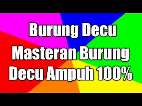 Masteran suara burung Decu gacor ampuh 100% - suara burung masteran terlengkap !!