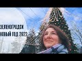 Зимний Зеленоградск. Новый год 2022
