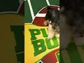 A Crazy Puppy Bowl Tackle! | Puppy Bowl | Animal Planet