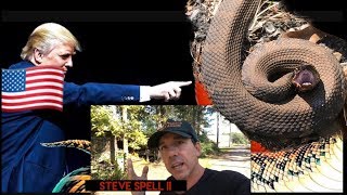 President Trump and the Snake
https://www.facebook.com/stevespell2 what kind of snake is this in the video lets name the snake President Trump and the Snake