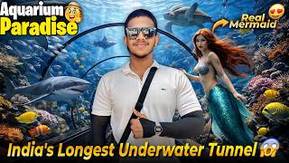 India's Longest Underwater Tunnel in Bengaluru | Aquarium Paradise