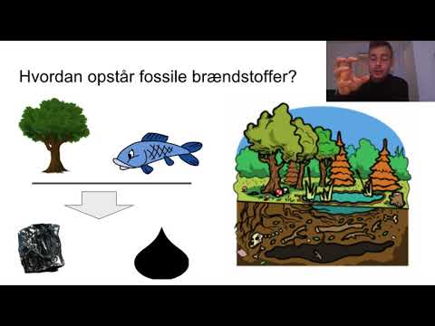 Video: Hvad er fossile brændstoffer?