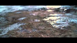 Secession Studios - The Wanderer (Album Promo by Rain Ventsel)