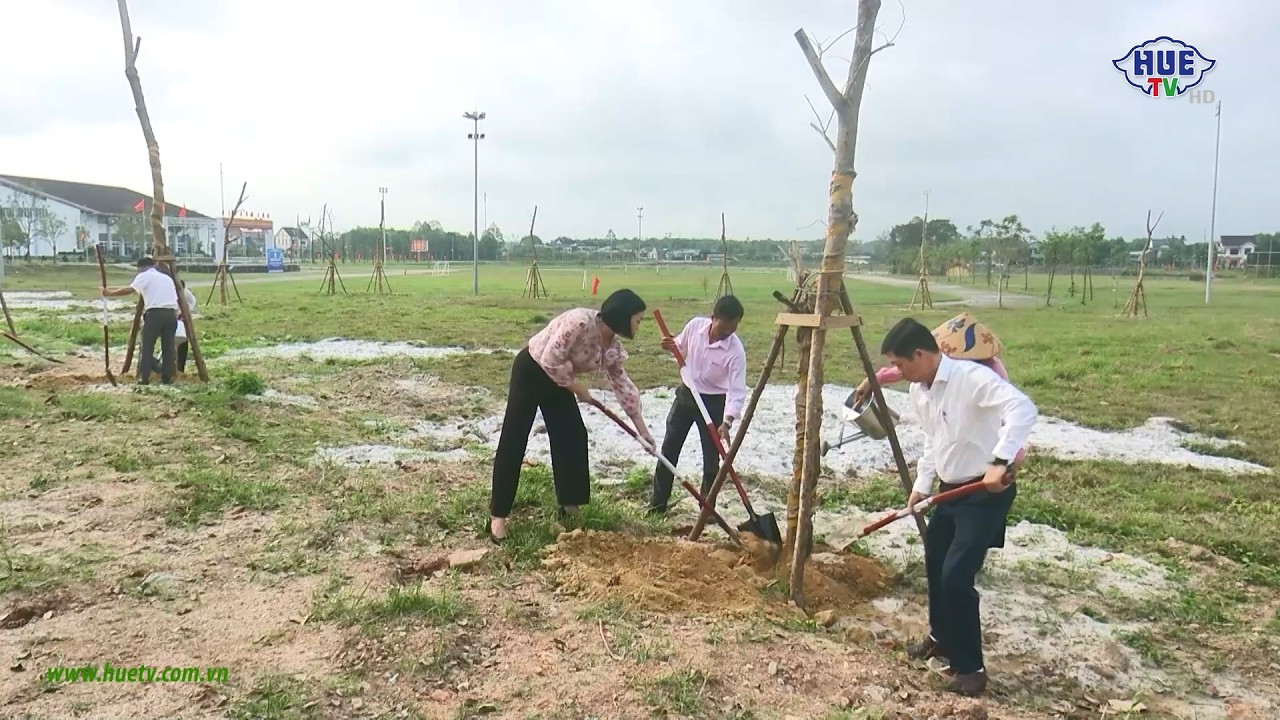 Tết trồng cây năm 2026 tại một số địa phương trên địa bàn thành phố Huế