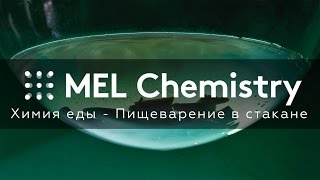Химия еды - Пищеварение в стакане Химия еды - Пищеварение в стакане