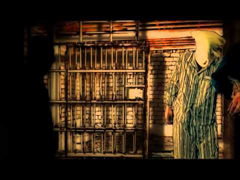 ანარეკლი