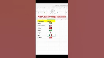 How to Get Country Flags in  MS Excel with Just a Click‼️ #excel #excelshorts #exceltutorial