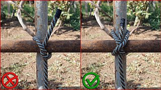 The Only 3 Knots You Actually Need to Know!