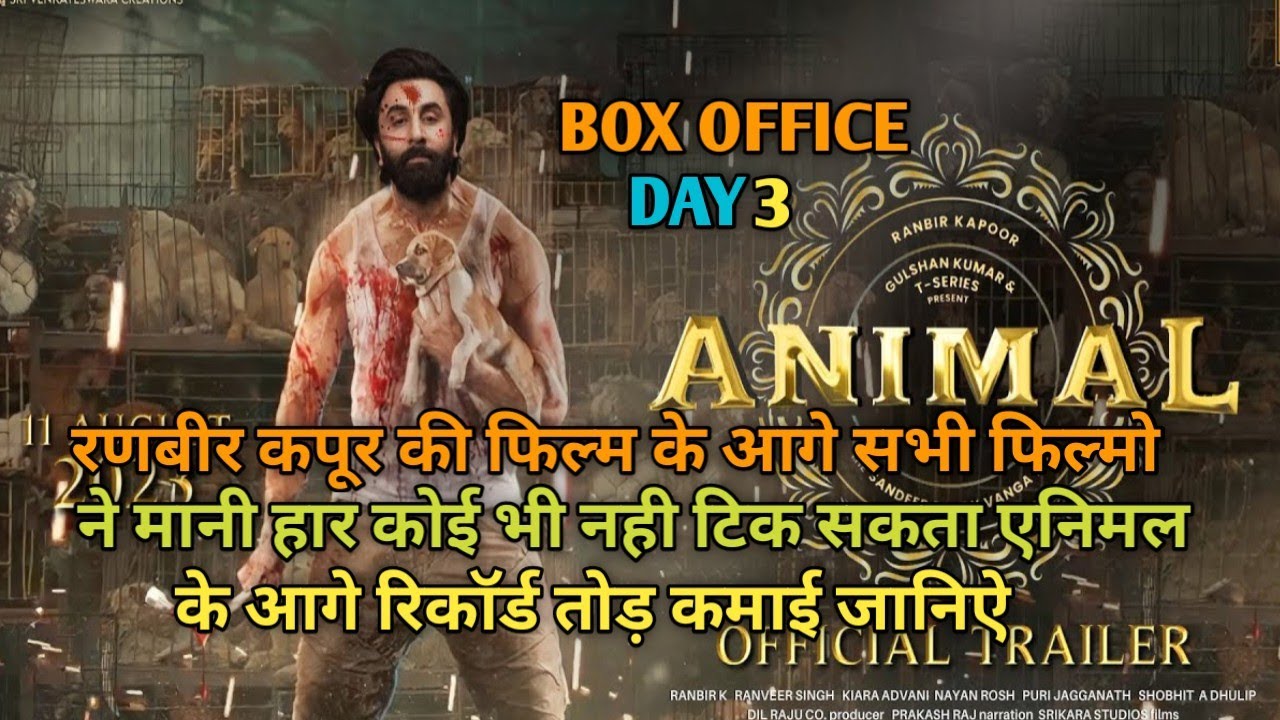 Animal Box Office Collection, Animal Box Office Collection Day 2, Ranbir Kapoor
