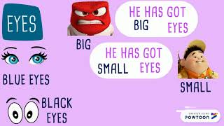 PHYSICAL DESCRIPTION
