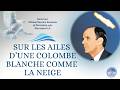 Sur Les Ailes D Une Colombe Blanche Comme La Neige 65 1128 Williammarrionbranham Message 