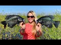 How to Catch HUGE Spawning Crappie & Worlds CRAPPIEST Tacos!!