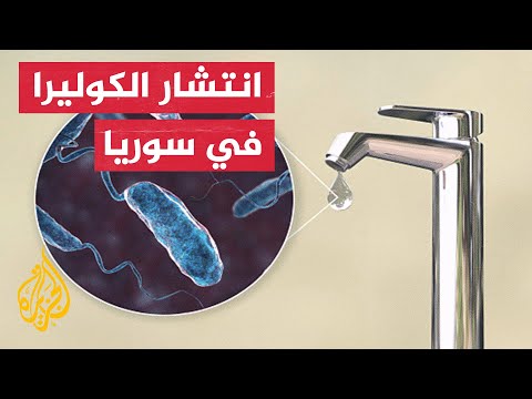 زيادة الإصابات بالكوليرا شمال سوريا