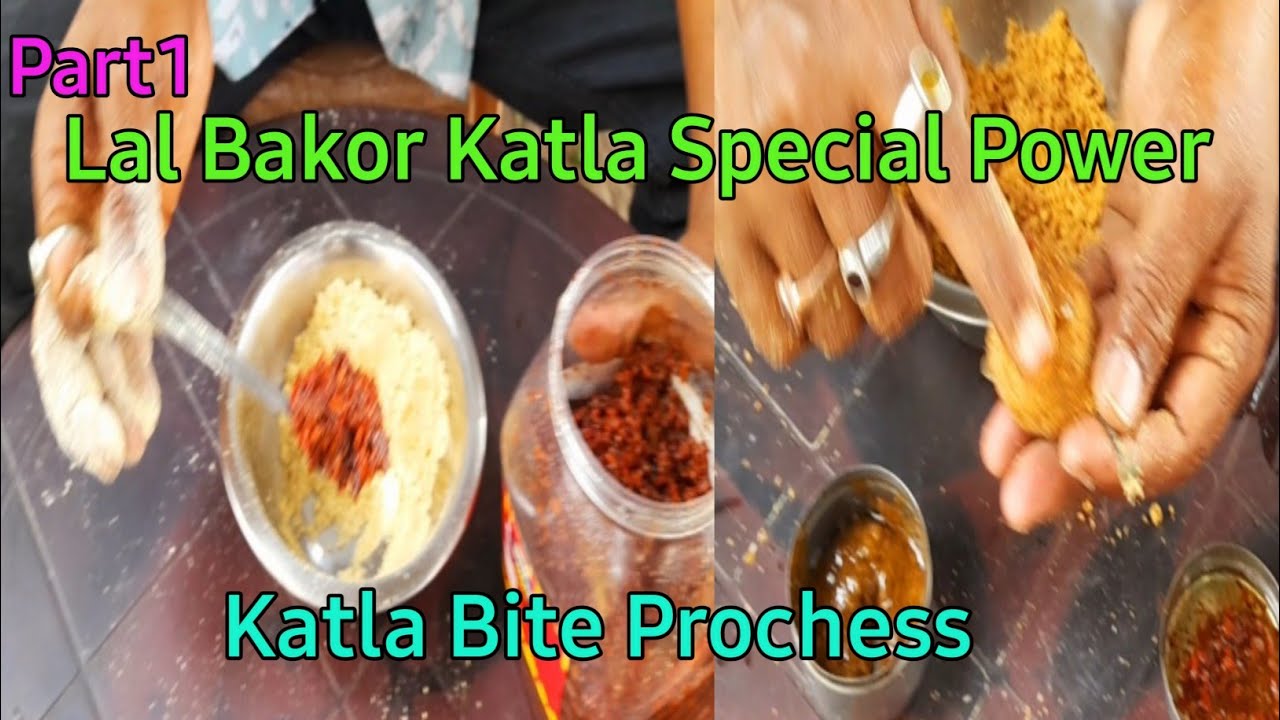 Part1 Lal Bakor Katla Special Bite/Top Bananeka Process Attraction For Katla Fish ||