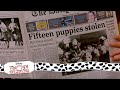 Pongo Perdita On The Run 10 15 Movie Scenes 101 Dalmatians 1996 HD Pongo Perdita On The Run 10 15 Movie Scenes 101 Dalmatians 1996 HD