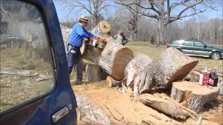 Stihl 076 Super Vs. BIG Oak