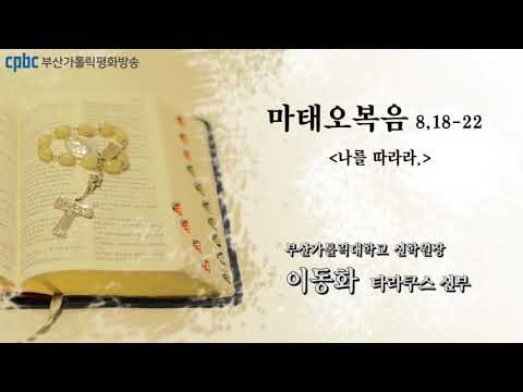영상썸네일