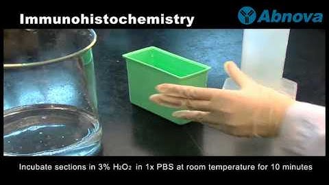 Immunohistochemistry
