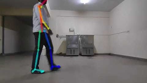Gait Analysis Using Open Pose