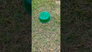 Introducing The Vitawear Smartban