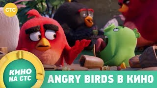 Angry birds в кино