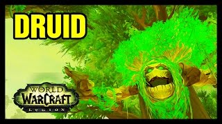 Necessary Preparations WoW Druid Order Hall