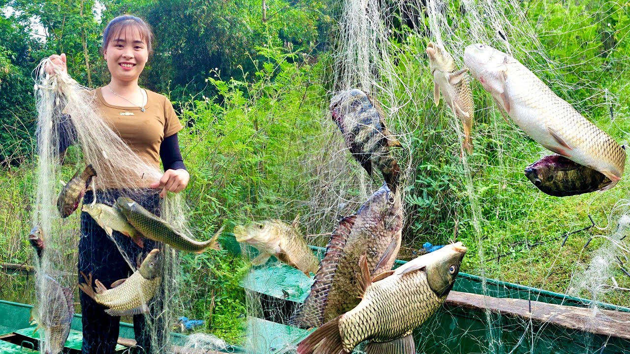 Catching fish on a big lake, How the girl cast a net and caught giant ...