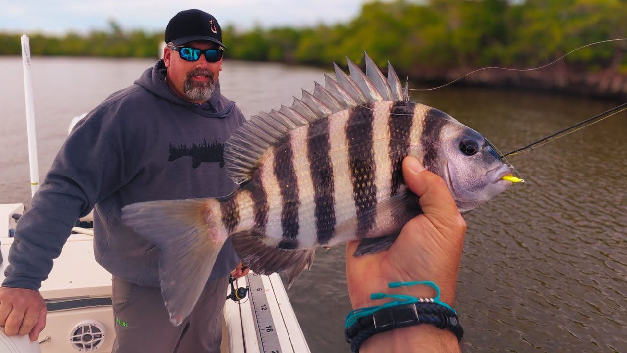 Ловля морского окуня (Sheepshead) на юго-западе Флориды во время холодного фронта с использование...