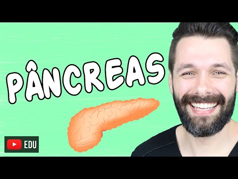 PÂNCREAS - Anatomia e Funções - Sistema endócrino e digestório | Biologia com Samuel Cunha