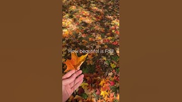 Beautiful Autumn Leaves in Australia #fall #autumn