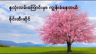 Video thumbnail of "နှလုံးလမ်းကြောင်းမှာ ကျွန်းခံနေတယ် Na Lone Lan Kyaung Mar Kyun Khan Nay Dae   Sai Htee Saing"