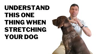 1 Thing you Need to Know When Stretching Your Dog