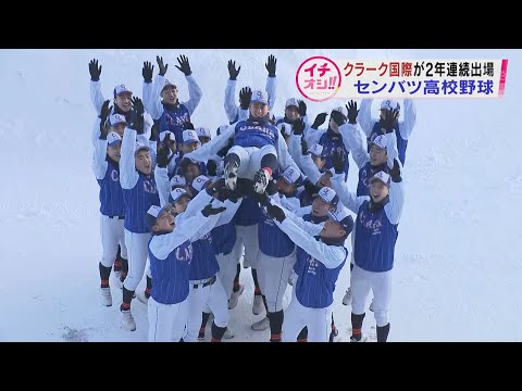 【高校野球】クラーク国際2年連続でセンバツ高校野球出場決定