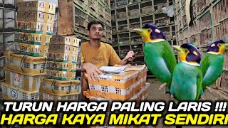 MURAH BANGET ! CUMA SEGINI HARGA BURUNG MADI INJAP PALING DICARI DIKIOS PASAR BURUNG PRAMUKA