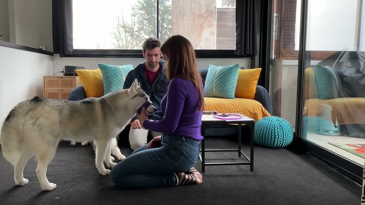 Formation ISCA Muzo+ - Semaine 16 - Contention