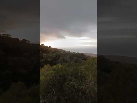 غابة الدرادير في مستغانم الجزائر 