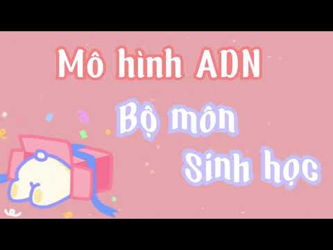Video Mô hình ADN - youtube
