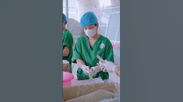 1 loại thực phẩm nhỏ… mà giúp cơ thể khỏe từ bên trong #tinhbotkhangbaka #ankiengthongminh