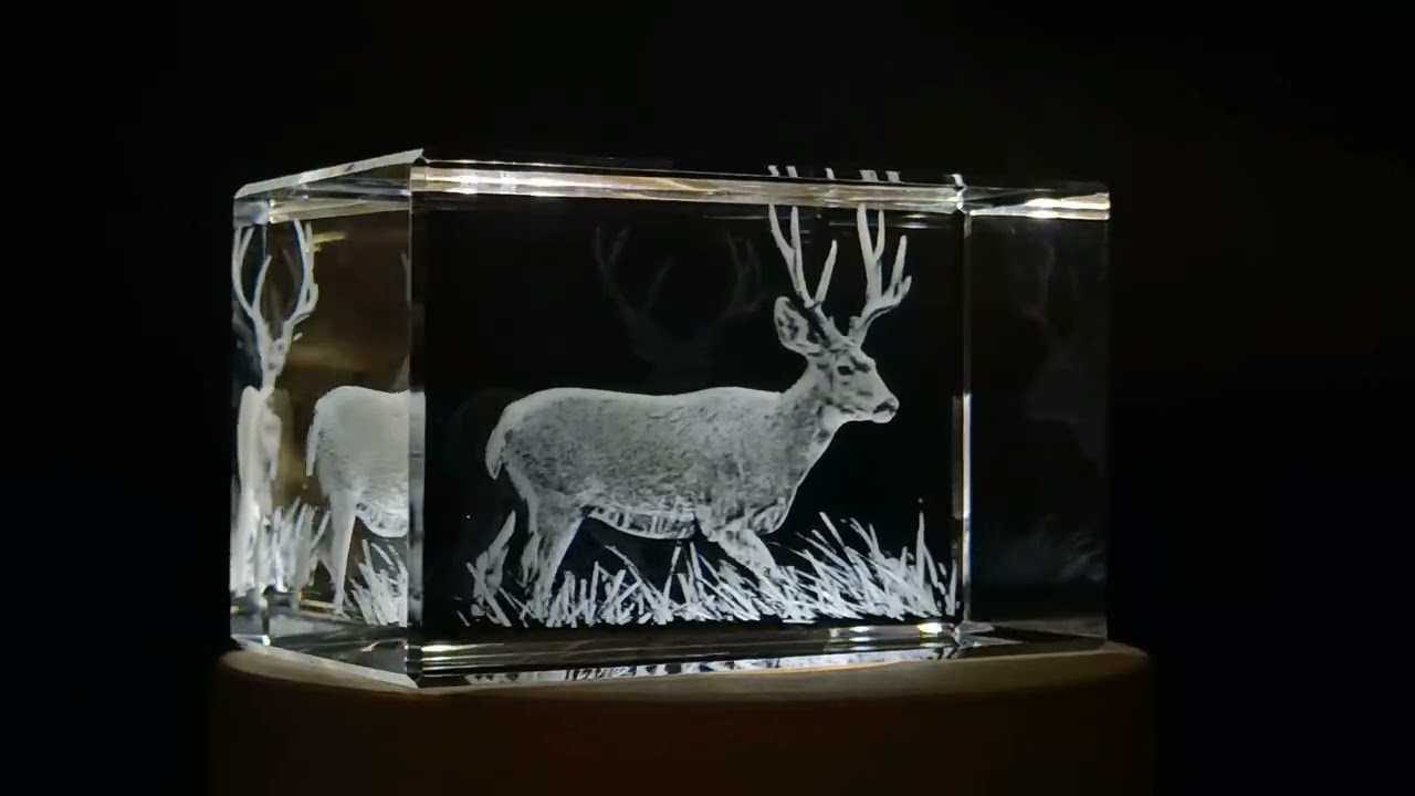 Beautiful Mule Deer Engraved on Crystal Statue | Unique Wildlife Decorative Gift - FSAN190