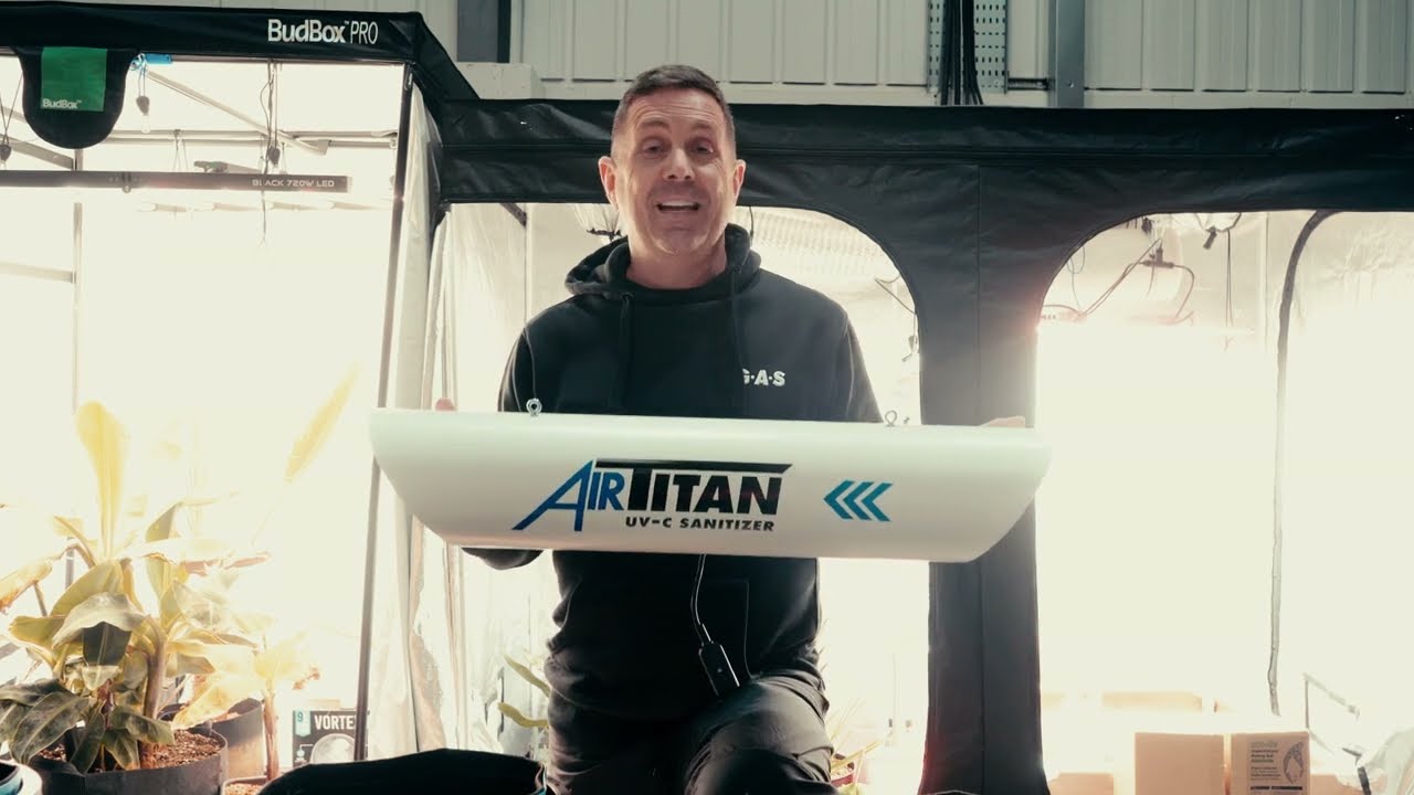 Как уменьшить количество плесени в теплице с помощью дезинфектора Air Titan UV-C