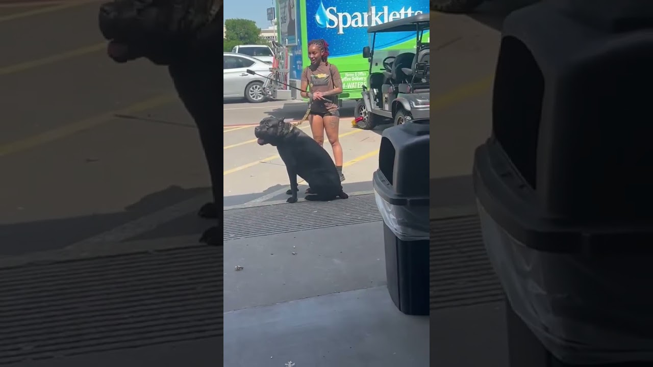 Хорошо, что он спросил, лол 