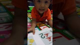 Download Lagu Lagu Ampar-Ampar Pisang MP3