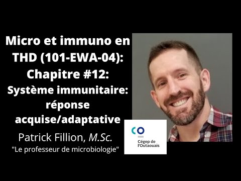 Vidéo: Les Concentrations D'anticorps Périphériques Sont Associées à Des Cellules T Hautement Différenciées Et à Des Processus Inflammatoires Dans La Moelle Osseuse Humaine