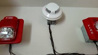 Mini Fire Alarm System Test 3: Supervised zone, and a special guest!