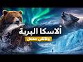 ألاسكا البرية رحلة إلى قلب الطبيعة القاسية وثائقي عن الدببة السلمون والشفق القطبي وثائقي