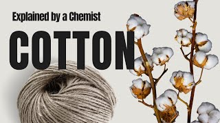 The Science of Cotton: What Knitters Need to Know (By a Chemist)