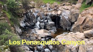 Los Penasquitos Canyon Trail Guide