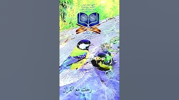تلاوة خاشعة عطرة مباركة جميلة عذبة للشيخ فارس عباد ماتيسر من سورة الكهف