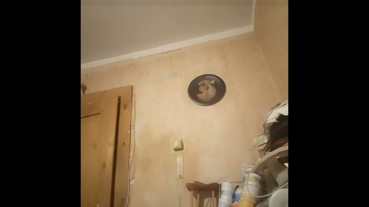 О приёме управл.СФР по КО Е.В.  Юсина и проч.мысли...