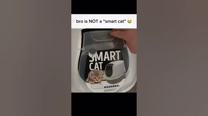 Funny animal videos I found on Instagram and Tiktok #shorts #funnyanimals #cat #funnypets #funny - DayDayNews
